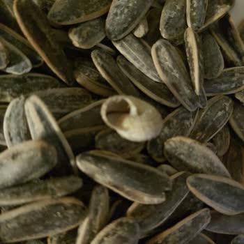 Hijyen Sorunu: Kuruyemişte Salyangoz Şoku