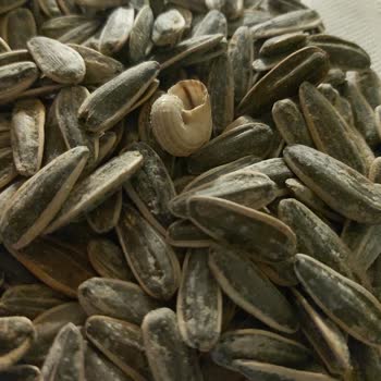 Hijyen Sorunu: Kuruyemişte Salyangoz Şoku