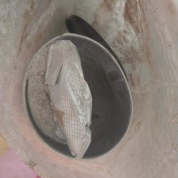 PTT Kargo İle Yaşanan Hasarlı Teslimat Sorunu