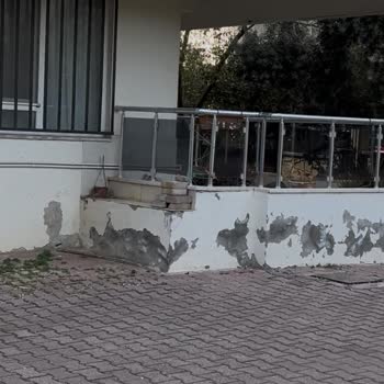 Antalya Belediyesi Hayvan Ambulansı Hizmetinde Yetersizlik Ve Koordinasyon Eksikliği