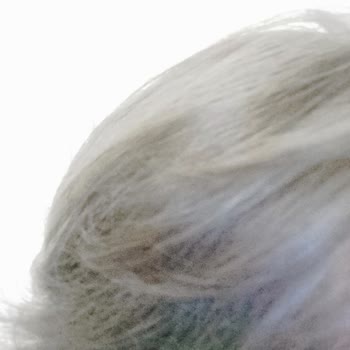 L'Oréal Paris 03 Ultra Hell Aschblond falsche Farbe und starker Ammoniakgeruch