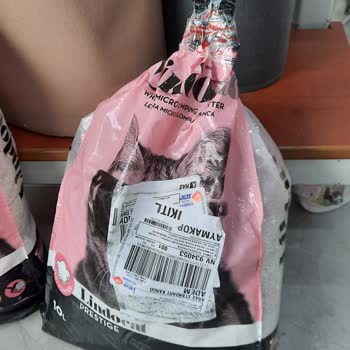 Kedi Kumu Teslimatında Büyük Sorun