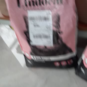 Kedi Kumu Teslimatında Büyük Sorun