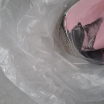 Kedi Kumu Teslimatında Büyük Sorun