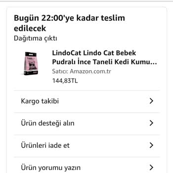 Kedi Kumu Teslimatında Büyük Sorun