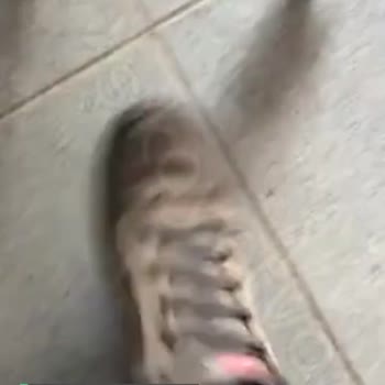 Camper Su Geçiren Göre Tex Bot!