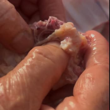 BİM'den Alınan Tavukta Şaşırtıcı Sorun