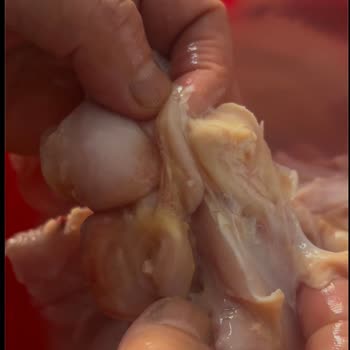 BİM'den Alınan Tavukta Şaşırtıcı Sorun