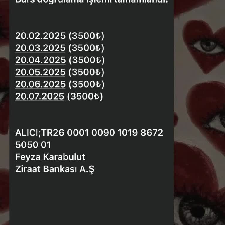 Şüpheli Burs Başvurusu Ve Güvenlik Endişeleri
