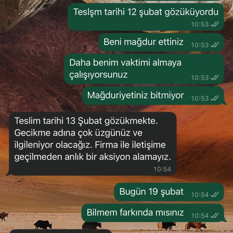 Oysho Sipariş Gecikmesi Ve Yetersiz Müşteri Hizmetleri