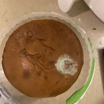 UNO Pastaban Kalitesi Ve Müşteri Hizmetleri Hayal Kırıklığı
