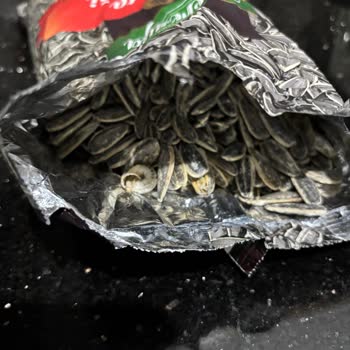 Çerezya Çekirdekte Şok: Salyangoz Çıktı!