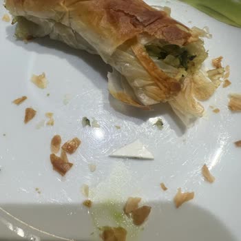 Dondurulmuş Börekten Çıkan Tehlikeli Plastik Parça