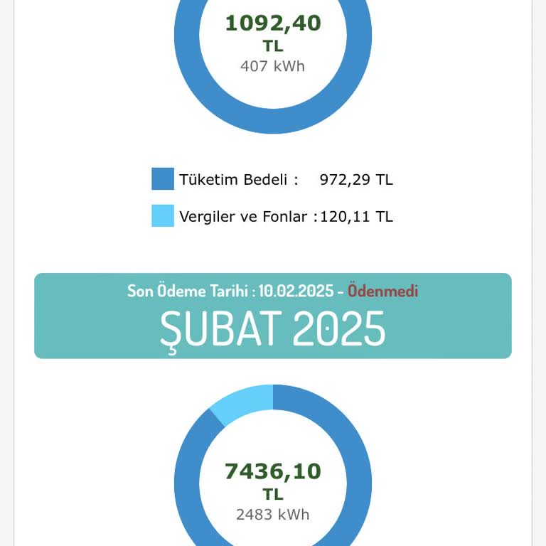 Yanlış Faturalandırma Ve Elektrik Kesintisi Mağduriyeti