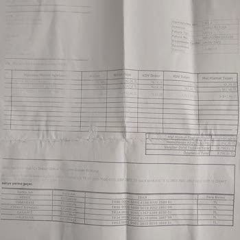 Philips Süpürgenin Kronik Arızası Ve Müşteri Hatası İddiası