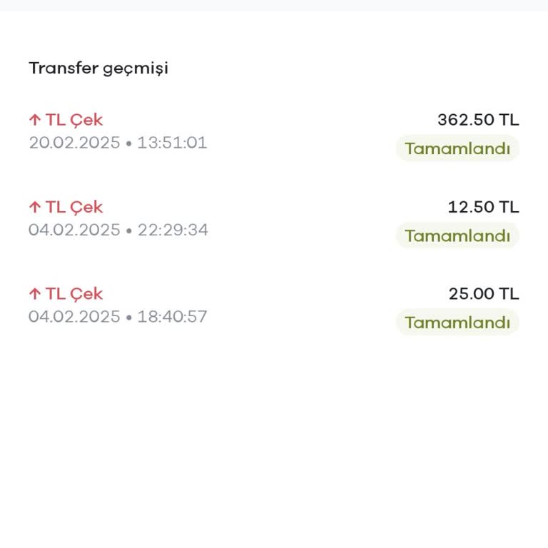 Beklenmedik Eksi Bakiye Sorunu Ve Zarar Ettiren İşlem