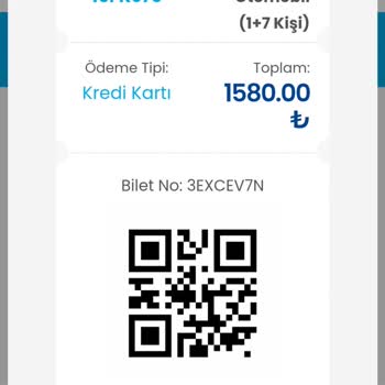 Gestaş Feribotunda Çifte Bilet Krizi: Yolcular Mağdur Ediliyor!