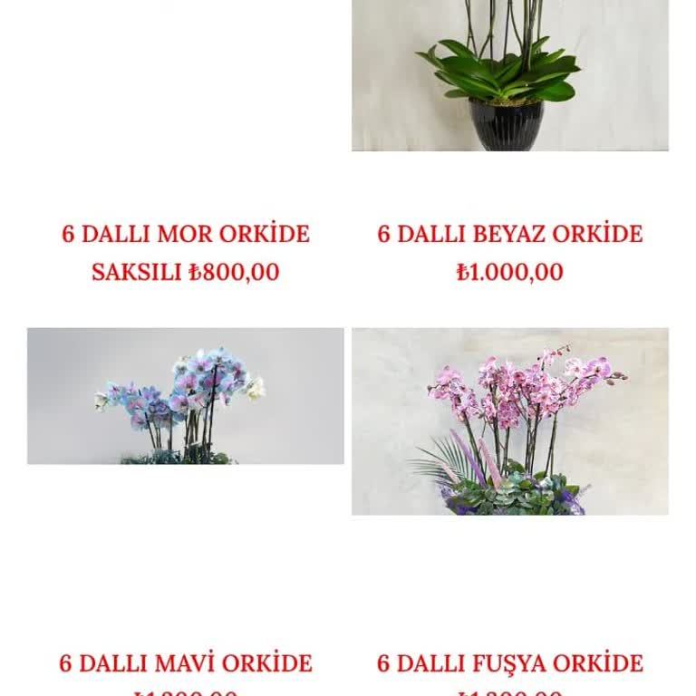 Çiçek Siparişi Kâbusu: Yanlış Hesaba EFT