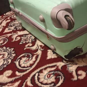 Sunexpress Bagaj Hasarı Ve İlgisizlik