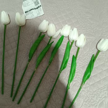 Gel Gör Alışveriş Merkezi Yapay Lale Şikayeti