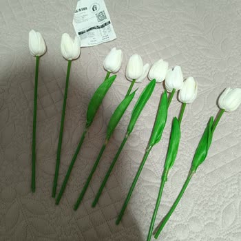 Gel Gör Alışveriş Merkezi Yapay Lale Şikayeti