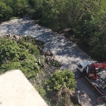 Antalya Muratpaşa Belediyesi Ağaç Kesimi Şikayeti