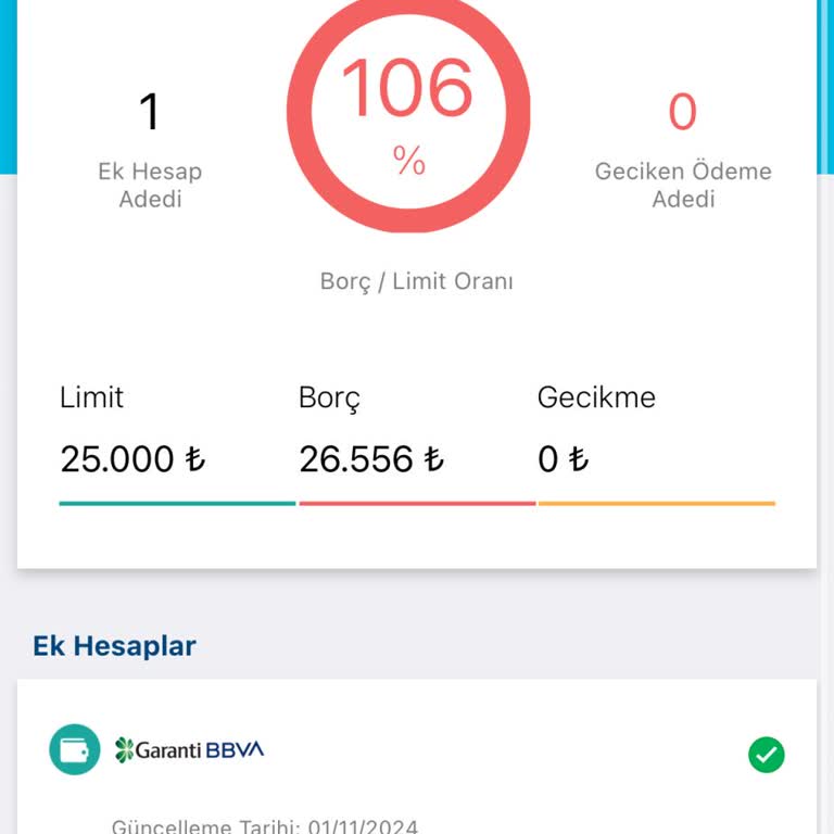 Findeks'te Yanlış Görünen Borç Sorunu