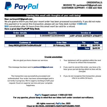 Yetkisiz PayPal Kullanımı: Mail Adresim Tehlikede!