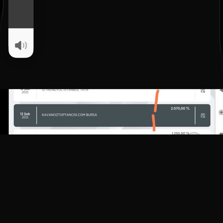 İnternet Alışverişinde Mağduriyet: Ürün Teslim Edilmedi