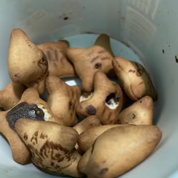 Ozmo Yanık Tat Ve İletişim Sorunu