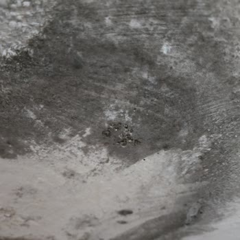 Üst Komşudan Sızan Su Sorunu Ve Çözüm Arayışı