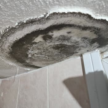 Üst Komşudan Sızan Su Sorunu Ve Çözüm Arayışı