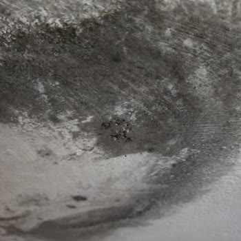 Üst Komşu Gürültüsü İçin Acil Çözüm Talebi