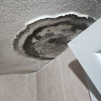 Üst Komşu Gürültüsü İçin Acil Çözüm Talebi