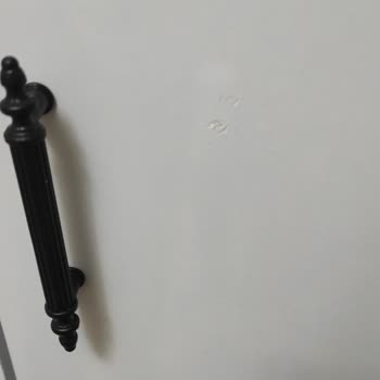 Teşhir Ürün Ve İlgisiz Müşteri Hizmetleri