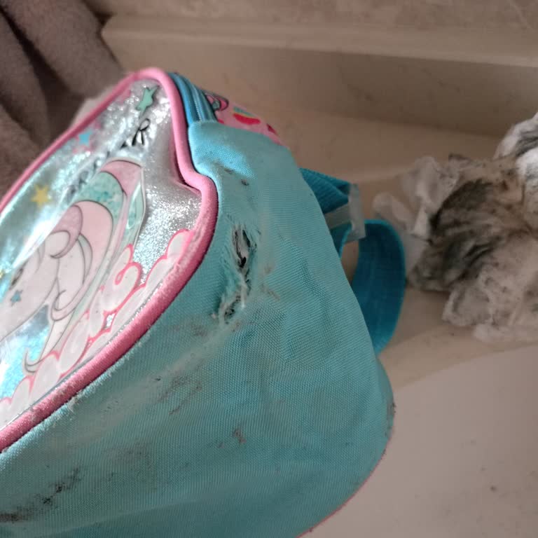 Çamaşır Makinesi Kıyafetleri Yırtıyor: Servis Sorunu