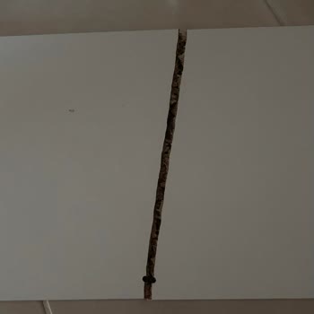 IKEA'dan Beklenmedik Müşteri Memnuniyetsizliği