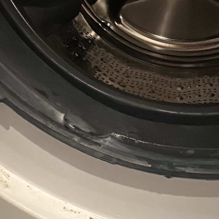 Bosch Çamaşır Makinesi Lastik Sorunu