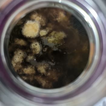 Lipton Ice Tea'de Küf Gibi Katman Ve Kötü Tat Şoku