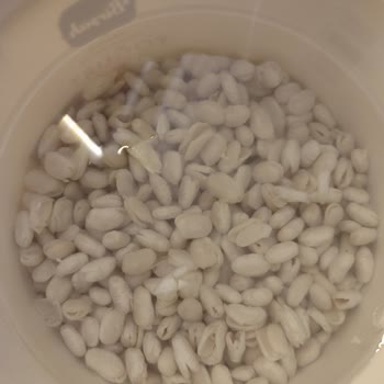 Hasata Markasının Kuru Fasulyeleri Bekleneni Vermedi