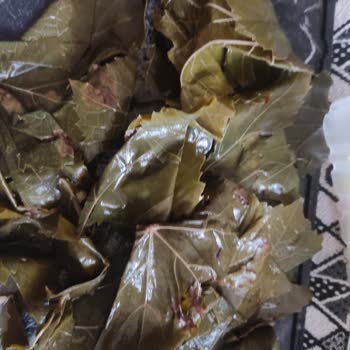 Üzüm Yaprağı Alışverişinde Hayal Kırıklığı