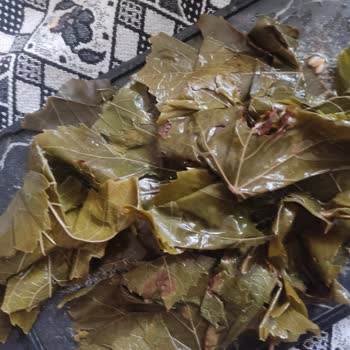 Üzüm Yaprağı Alışverişinde Hayal Kırıklığı