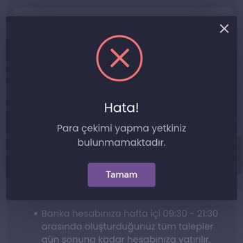 İtemSatış Hesap Kısıtlaması Ve Para Çekme Sorunu