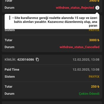 Oynadığım Rulet Ve Spaceman Oyunlarında Haksız Kazanç Silinmesi