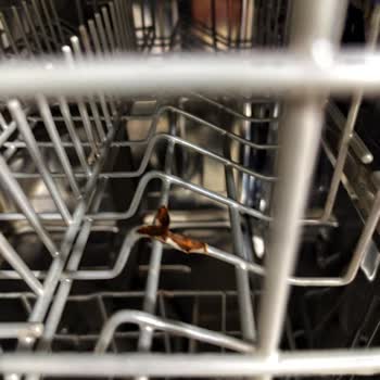 LG Bulaşık Makinesi Sepetlerinde Paslanma Ve Kırılma Sorunu