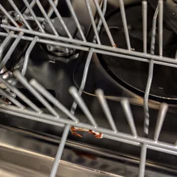 LG Bulaşık Makinesi Sepetlerinde Paslanma Ve Kırılma Sorunu