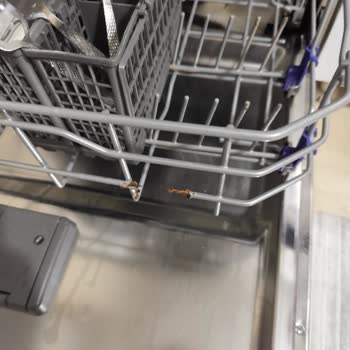 LG Bulaşık Makinesi Sepetlerinde Paslanma Ve Kırılma Sorunu