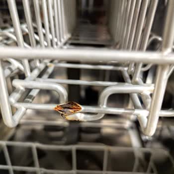 LG Bulaşık Makinesi Sepetlerinde Paslanma Ve Kırılma Sorunu