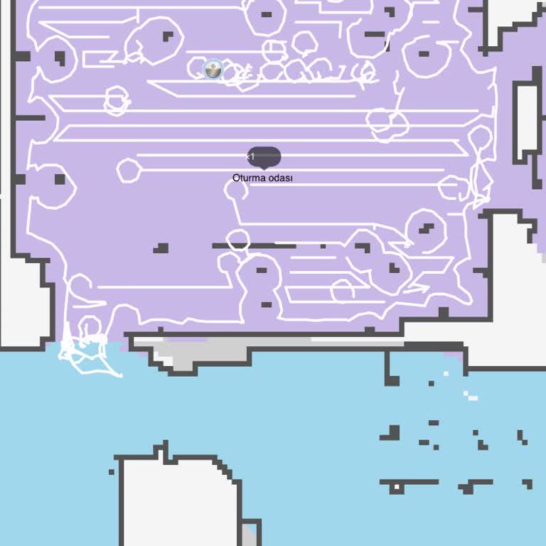 Robot Süpürge Performans Kaybı Ve Yetersiz Teknik Servis