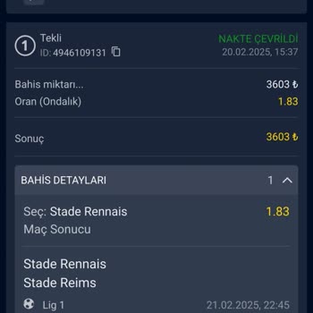 Güvenlik Açıkları Ve Müşteri Hizmetleri Sorunları